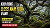 rừng Wistman's Wood