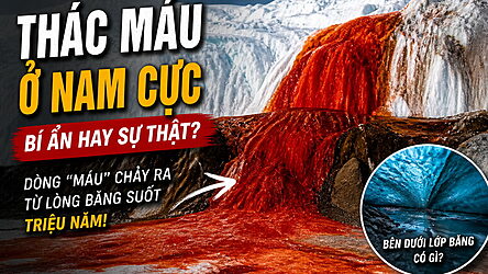 Thác máu ở Nam Cực: dòng “máu” chảy giữa băng trắng là gì?